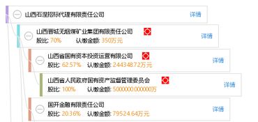 山西石涅招标代理有限责任公司市场主体登记注册代理服务全解析